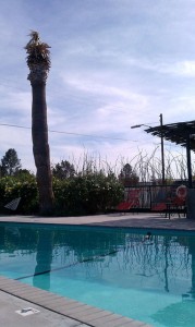 Thunderbird Hotel Marfa
